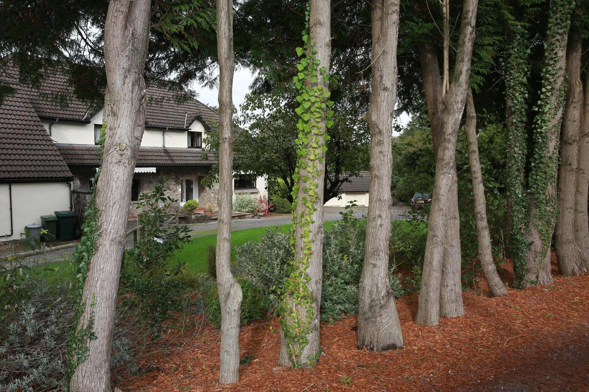 Ewenny Farm Guest House ブリジェンド エクステリア 写真